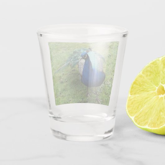 Regal Peacock Power  Shot Glas (Achterkant)