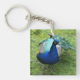 Regal Peacock Power  Sleutelhanger