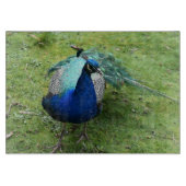 Regal Peacock Power Snijplank (Voorkant)