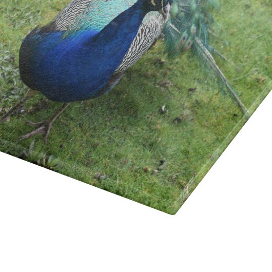 Regal Peacock Power Snijplank (Hoek)