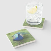 Regal Peacock Power Stenen Onderzetter (Zijkant)