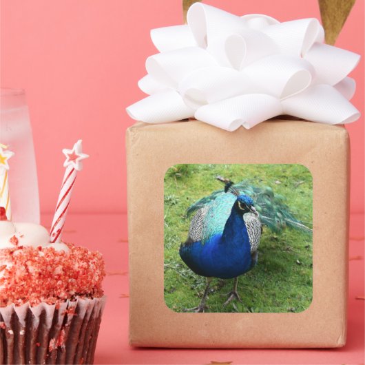 Regal Peacock Power Vierkante Sticker (Feest)