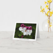 Regal Pelargonium Bloemen Collectible Groet Kaart (Gele Bloem)