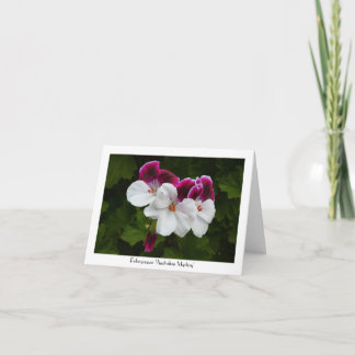 Regal Pelargonium Bloemen Collectible Groet Kaart
