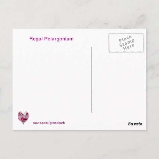 Regal Pelargonium Briefkaart (Achterkant)