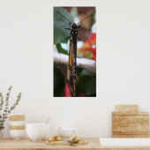 Regal Posed Monarch Poster (Keuken)