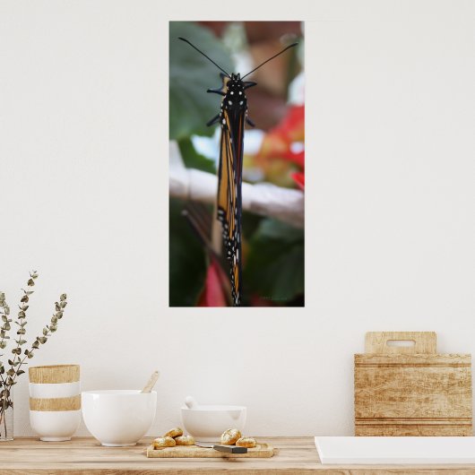 Regal Posed Monarch Poster (Keuken)