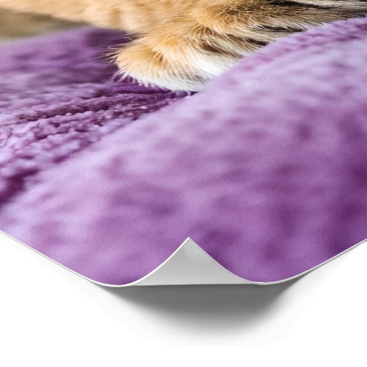 Regal Pride - Wall Art Print (Hoek)