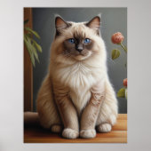 Regal Ragdoll Cat Portrait Fluffy Blue Eyed Poster (Voorkant)