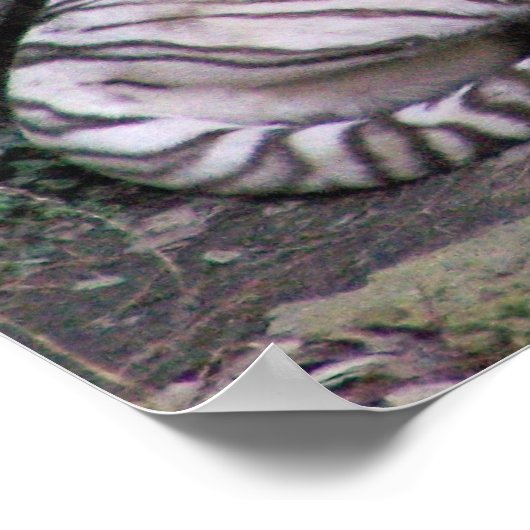 Regal Repose Poster (Hoek)