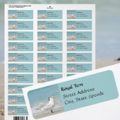 Regal Royal Tern Coastal Return-adreslabels Etiket