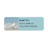 Regal Royal Tern Coastal Return-adreslabels Etiket (Voorkant)