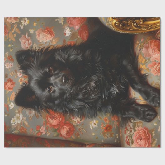 Regal Schipperke Dog  Decoupage Cadeaupapier (Vlak)