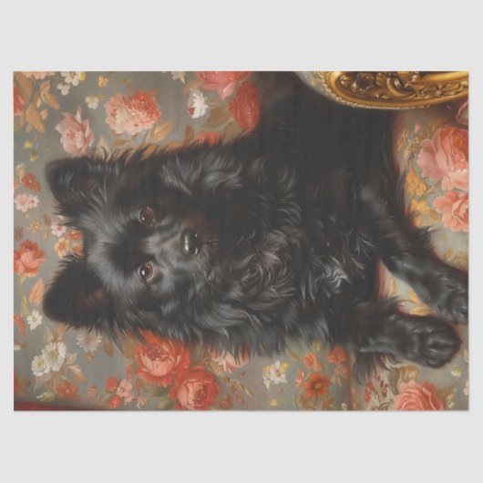 Regal Schipperke Dog Decoupage Tissuepapier (Voorkant)