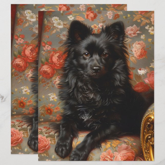 Regal Schipperke Hond  Scrapbook Papier (Voorkant / Achterkant)