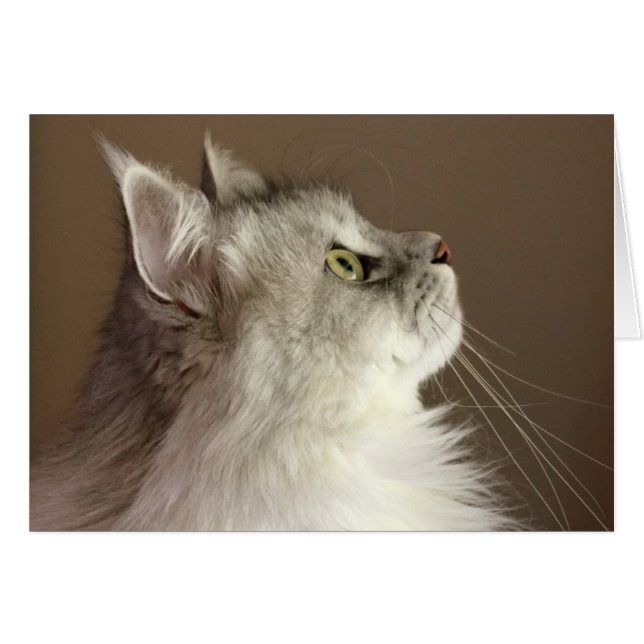 Regal Siberian Portret Blank Card (Voorkant Horizontaal)