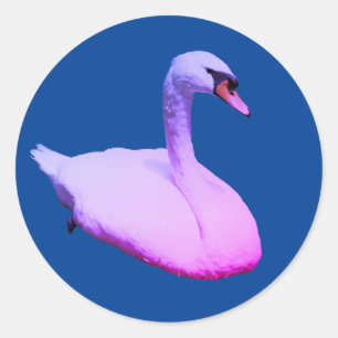Regal Swan Wildlife Animal Tinted Ronde Sticker