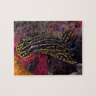 Regal Zee Goddess Nudibranch Felimare picta Legpuzzel