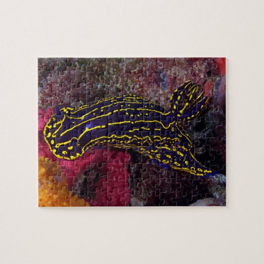 Regal Zee Goddess Nudibranch Felimare picta Legpuzzel (Horizontaal)