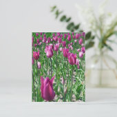 Regale Paarse Tulpen Briefkaart (Staand voorkant)