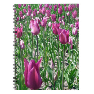 Regale Paarse Tulpen Notitieboek