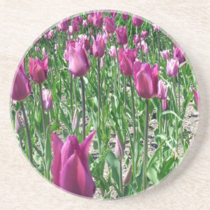 Regale Paarse Tulpen Zandsteen Onderzetter