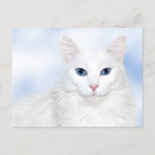 Regale witte kat briefkaart