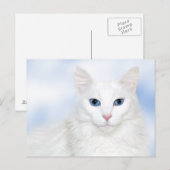 Regale witte kat briefkaart (Voorkant / Achterkant)
