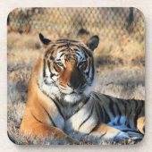 Regall Bier Onderzetter (Voorkant)