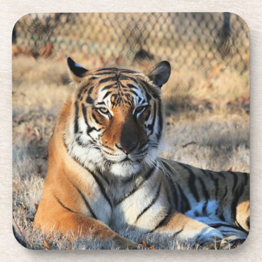 Regall Bier Onderzetter (Voorkant)