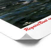 Regata/Boat race Poster (Hoek)