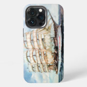 Regata Cutty Shark iPhone Hoesje (Achterkant)