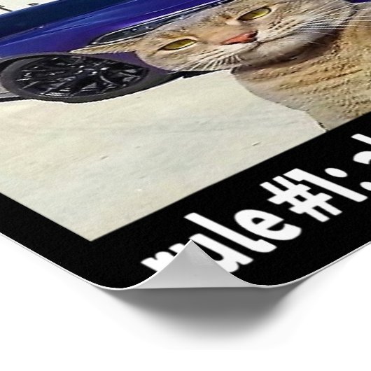 Regel # 1 altijd baas grappige kat meme poster (Hoek)