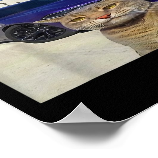 Regel 1 Baas altijd Grappige Kat Vreemd Specifieke Poster (Hoek)