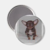 Regel 1 van Chihuahua Magneet (Voorkant / Achterkant)