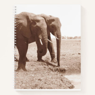 Regel van het Elephant Spiral Notitieboek College