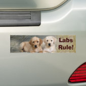 Regel voor Bumperstickers van labrador Retriever (Op auto)