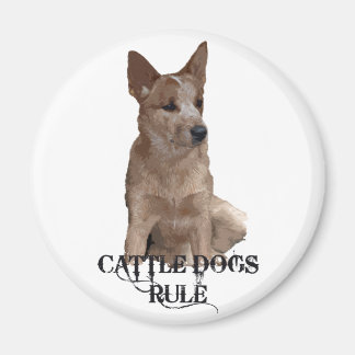 Regel voor honden magneet