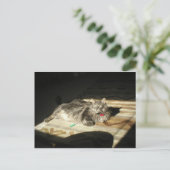 Regel voor wolkatten briefkaart (Staand voorkant)