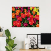 Regelboog van de Tulpen Poster (Thuiskantoor)