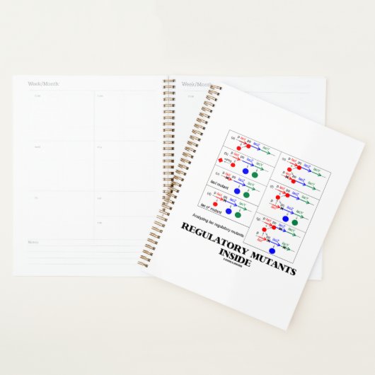 Regelgevende mutanten in Lac-aanvulling Planner (Display)