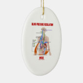 Regelgeving voor bloeddruk in de fysiologie keramisch ornament (Rechts)