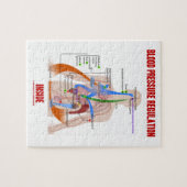 Regelgeving voor bloeddruk in de fysiologie legpuzzel (Horizontaal)