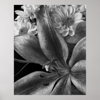Regeling met Lillies Poster