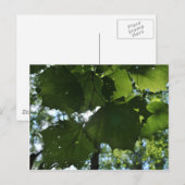 Regelmatig Natuur Briefkaart (Voorkant / Achterkant)