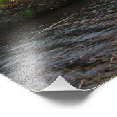 Regelmatige dag in de kraag foto afdruk (Hoek)