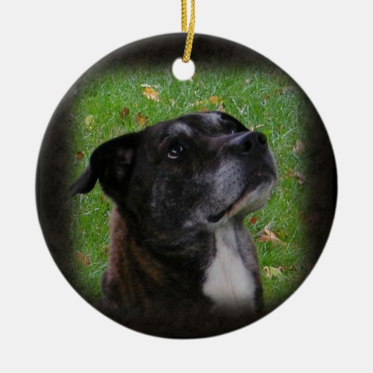 Regelmatige hond ~ ornament (Voorkant)
