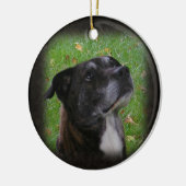 Regelmatige hond ~ ornament (Links)