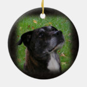 Regelmatige hond ~ ornament (Achterkant)