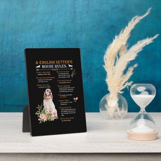 Regels voor Engelse nederzettingen Fotoplaat (Zijkant)